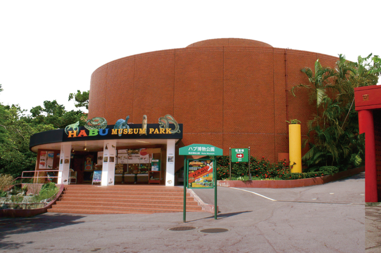 Venomous Snake Museum