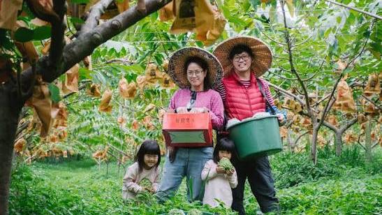 Shanlanhao | Chishang Food Tour: Bean Dishes & Fruit-Picking Experience | 2-Day Trip: Jinlian, Zhiben