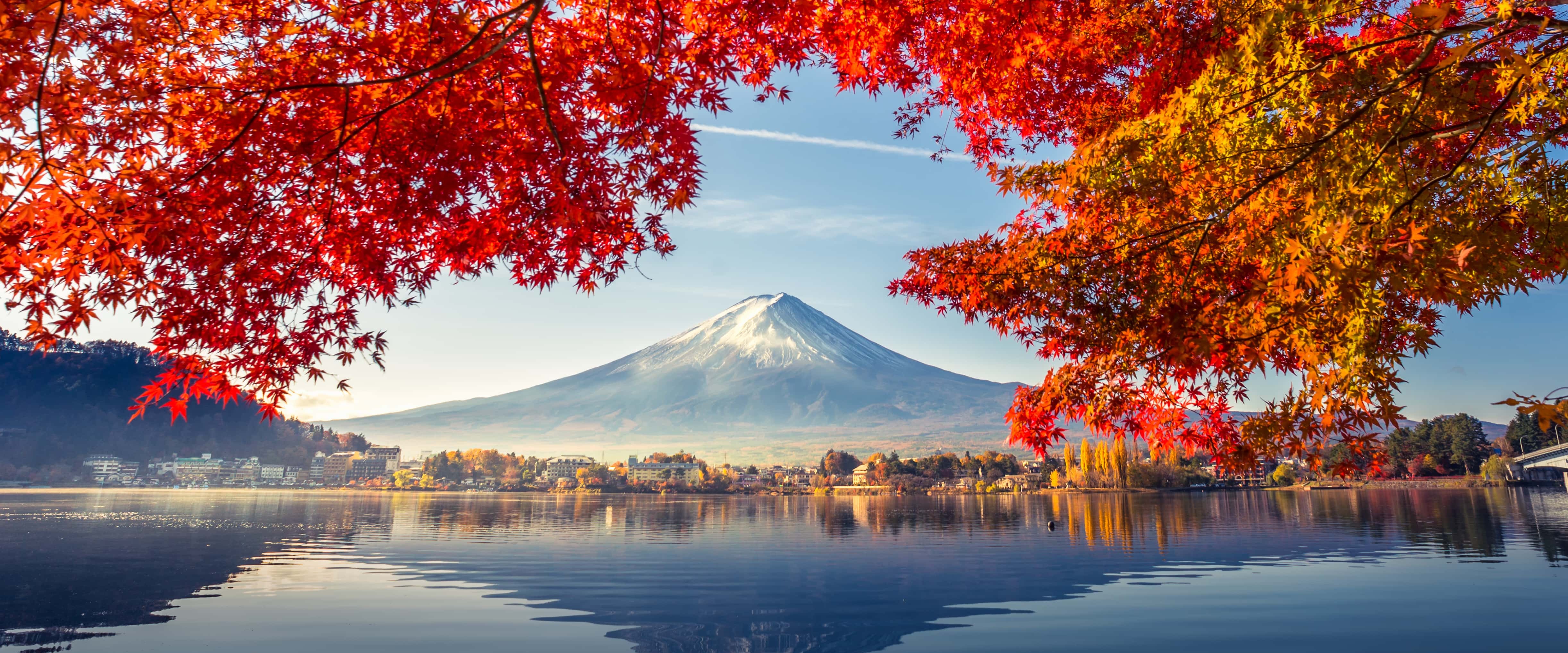 Mt. Fuji Day Trip | 5th Station, Oshino Hakkai & Mt. Fuji Panoramic Ropeway | Departs from Shinjuku, Tokyo