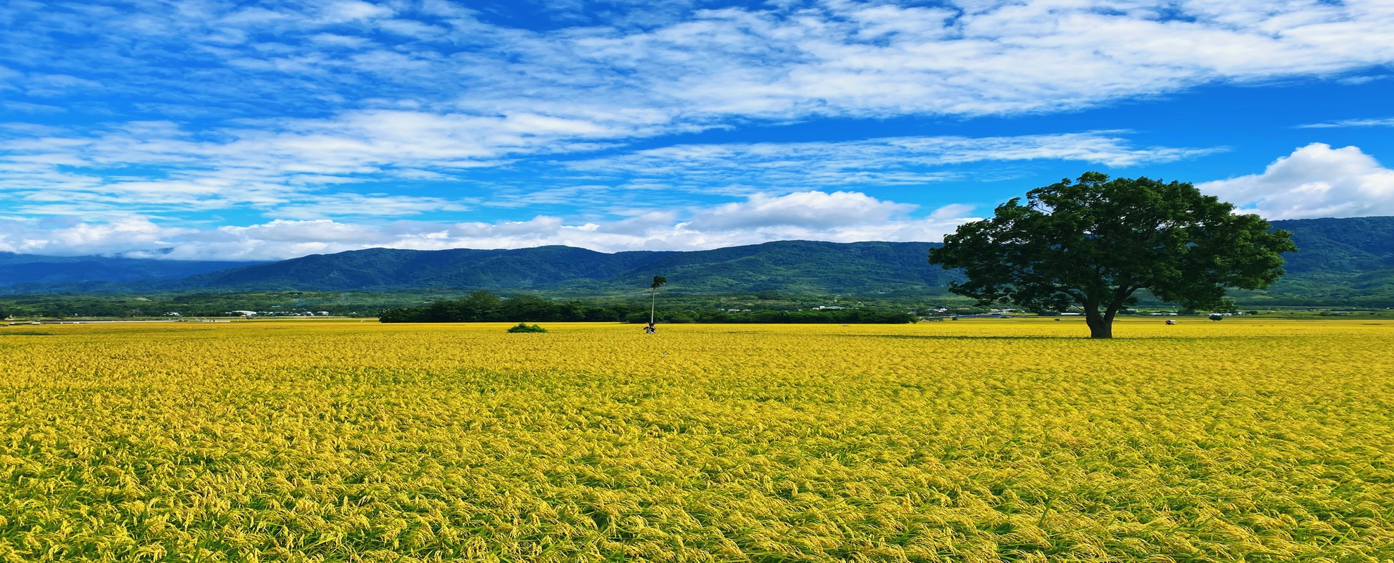 Taitung Trips|Small group departures. Mix & match your itinerary. Unlock the chillest 3-day Taitung rail getaway.