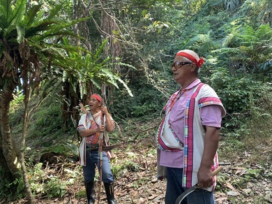 “Uninang” means gratitude and blessings. Follow the cultural trails of hunting and daily life to experience traditional wisdom like archery and slate traps. Gather by the fire beneath a century-old Chinese Hackberry, listen to eight-part harmony echo through the mountains, and feel the Bunun people’s warm, profound cultural bonds through song and sharing.