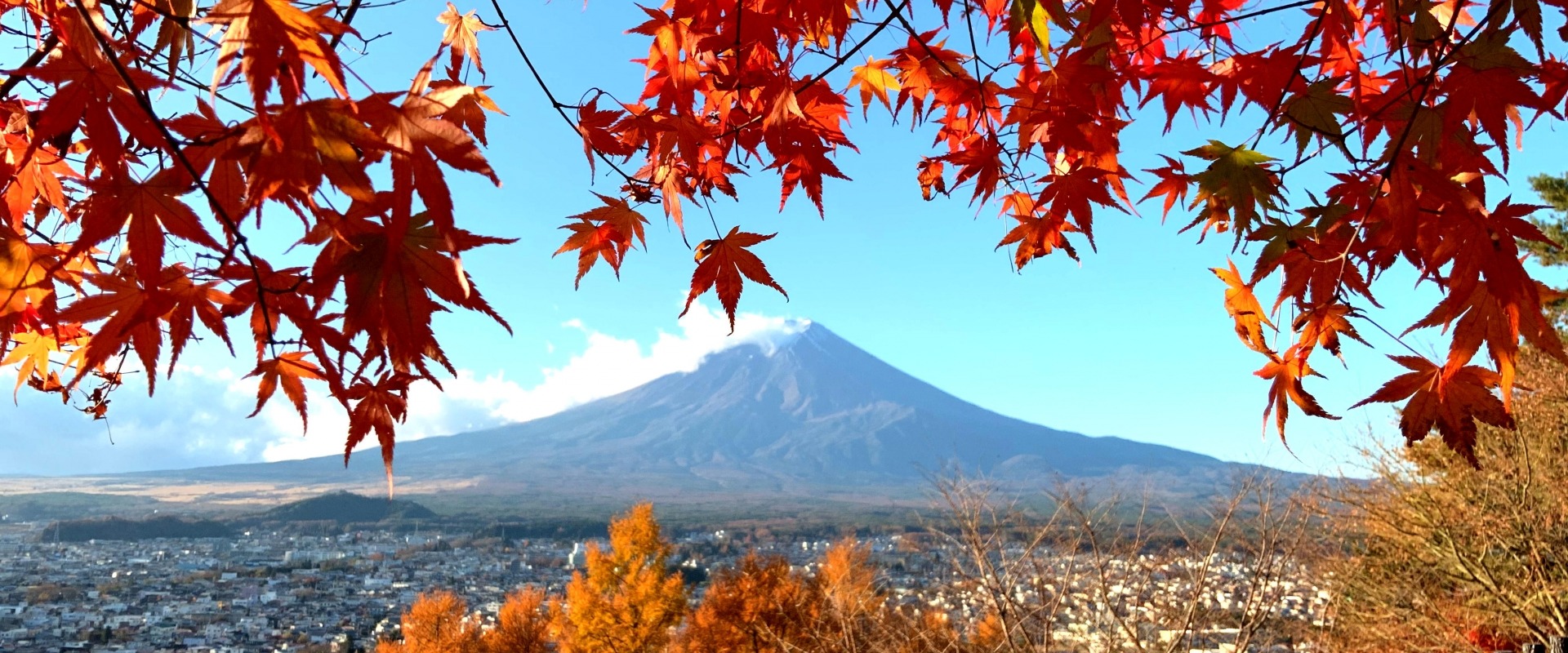 Departing from Tokyo | Mt. Fuji Day Tour: Kawaguchiko Tenharu-go, Arakurayama Sengen Park, Oshino Hakkai, Hikawa Clock Shop