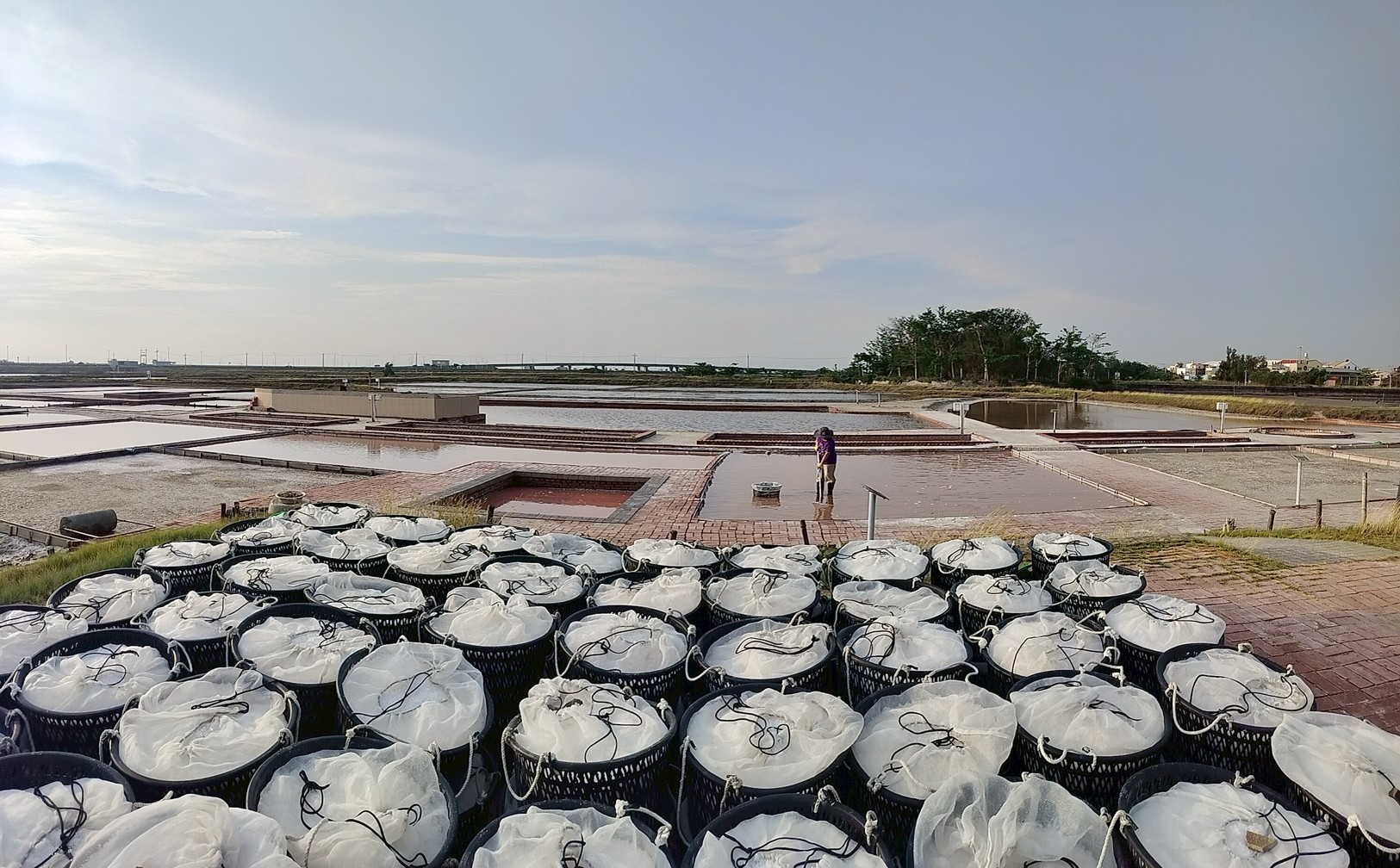 | Custom Itinerary・White Memories of Terroir Salt & Light | Zhounan Salt Fields | Step into coastal salt pans for a journey shaped by wind, sun, and sea. With an artisan guide, learn traditional sun-dried salt-making and the delicate layers of fleur de sel crystals. Taste different salts as pure flavors bloom on the tongue; join the brine-boiling process and, amid rising salty aroma, discover the century-old wisdom and land aesthetics of the salt industry—a white terroir memory from nature to table. *Includes salt-field tour and salt tasting.