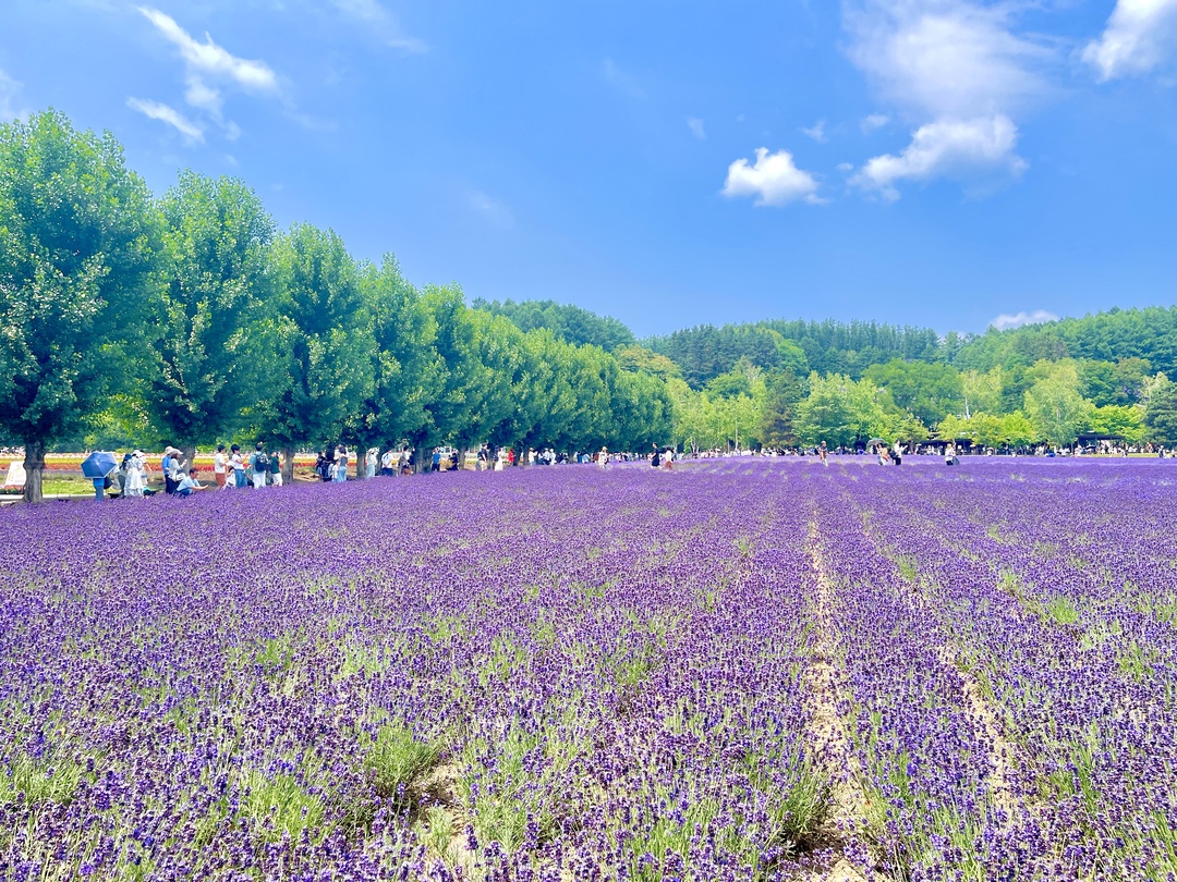 富田農場