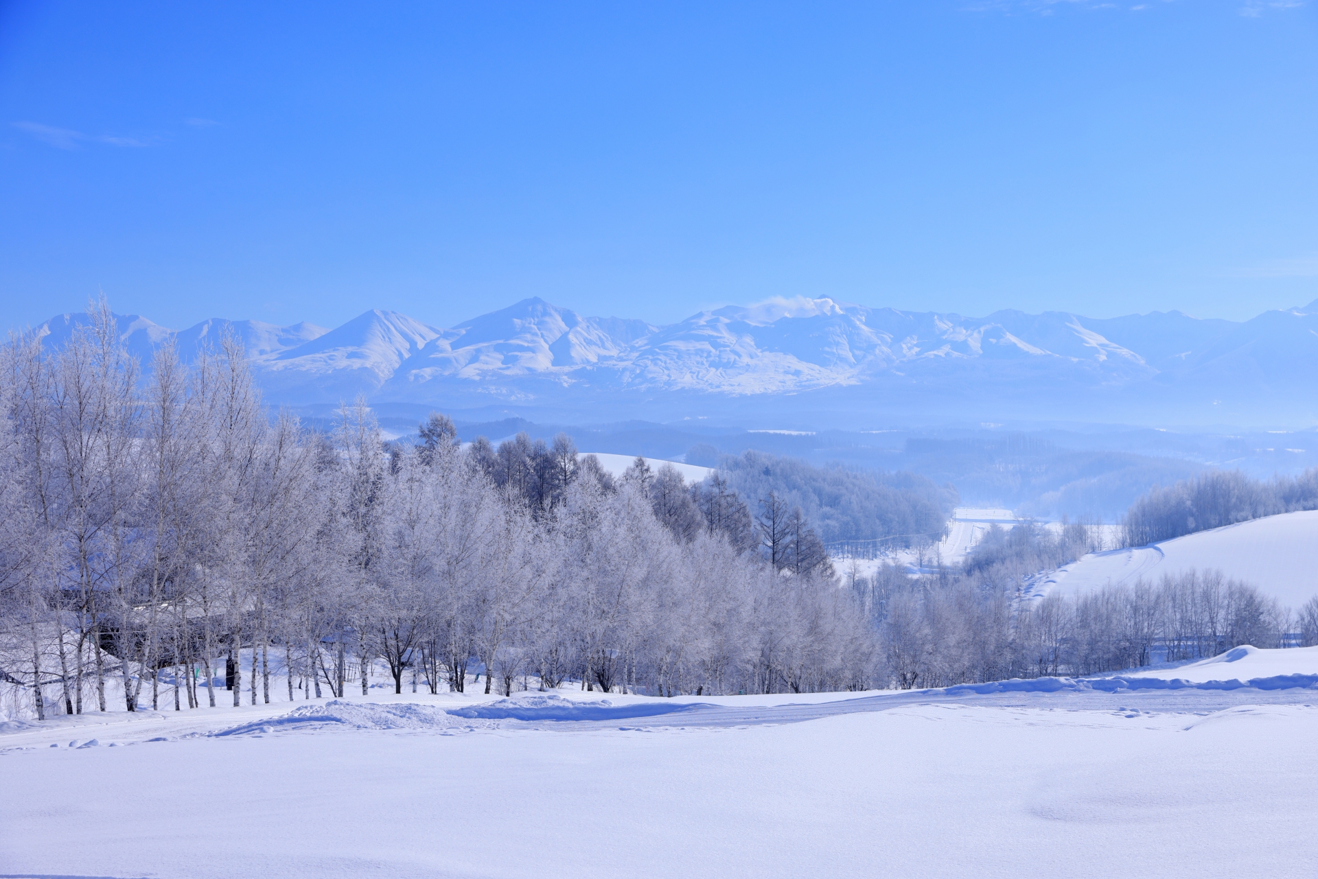 遠眺美瑛丘陵與十勝岳連峰的遼闊雪景