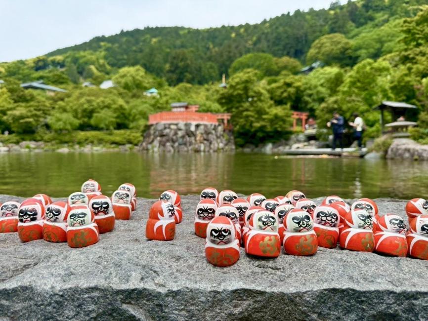 【勝尾寺】勝尾寺最大特色是滿山遍野的「勝運達摩」——人們來此祈願後，會將繪有一隻眼的達摩供奉於寺中，若願望實現，便再來補上另一隻眼，表示達成心願。成千上萬的達摩散布於石階、池畔、建築周邊，景象十分震撼且充滿力量感。