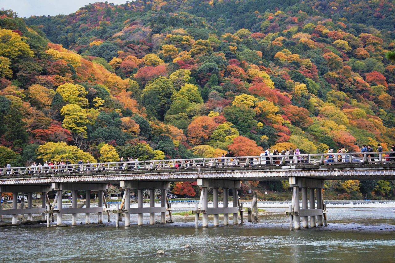 【嵐山渡月橋】 是京都嵐山地區的地標性景點， 🌸春櫻爛漫、🍁秋楓滿山、⛄冬雪靄靄、🌿夏綠蔥鬱，是京都最具人氣的拍照打卡景點之一，橋上、橋下兩側皆風景如畫。