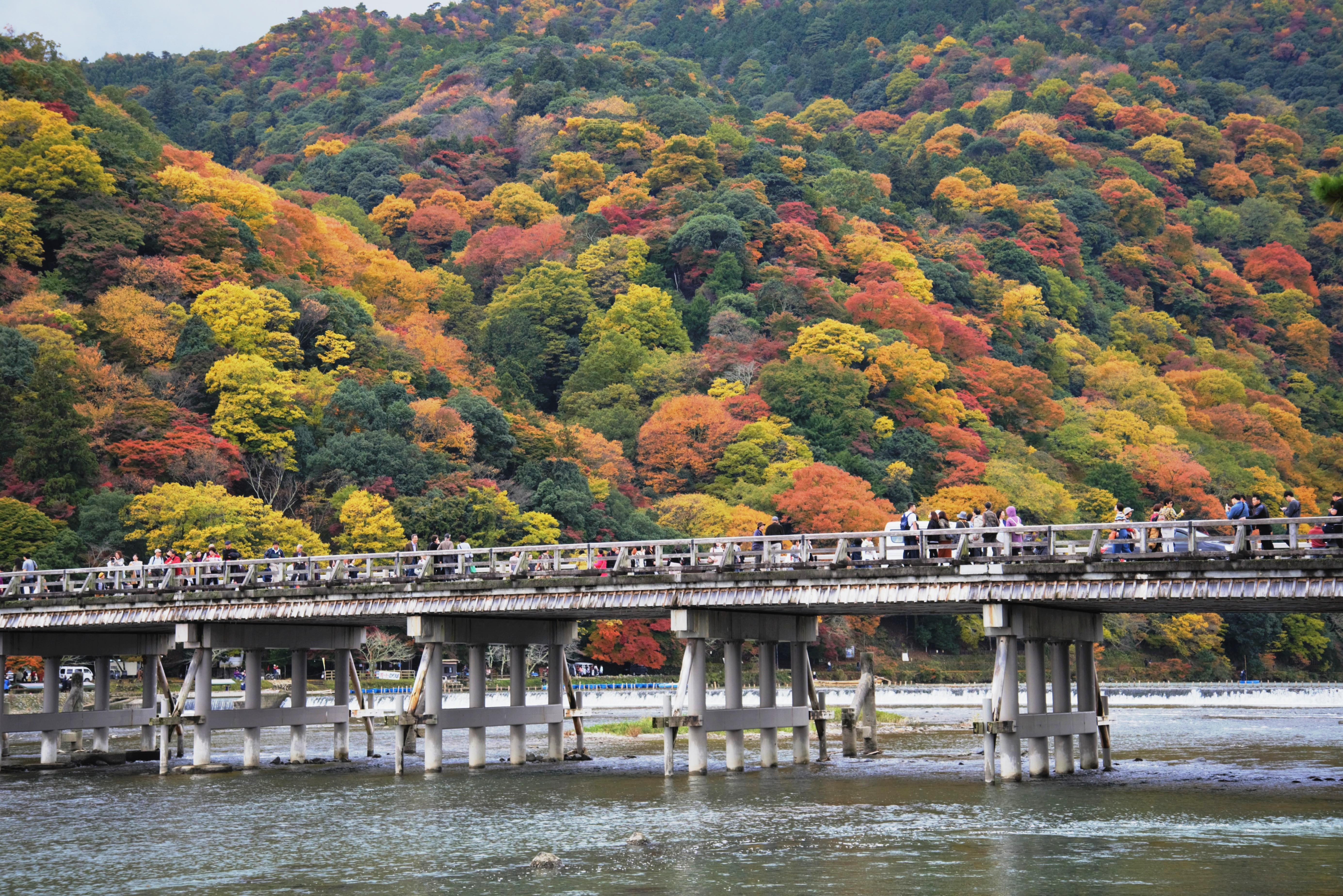 嵐山